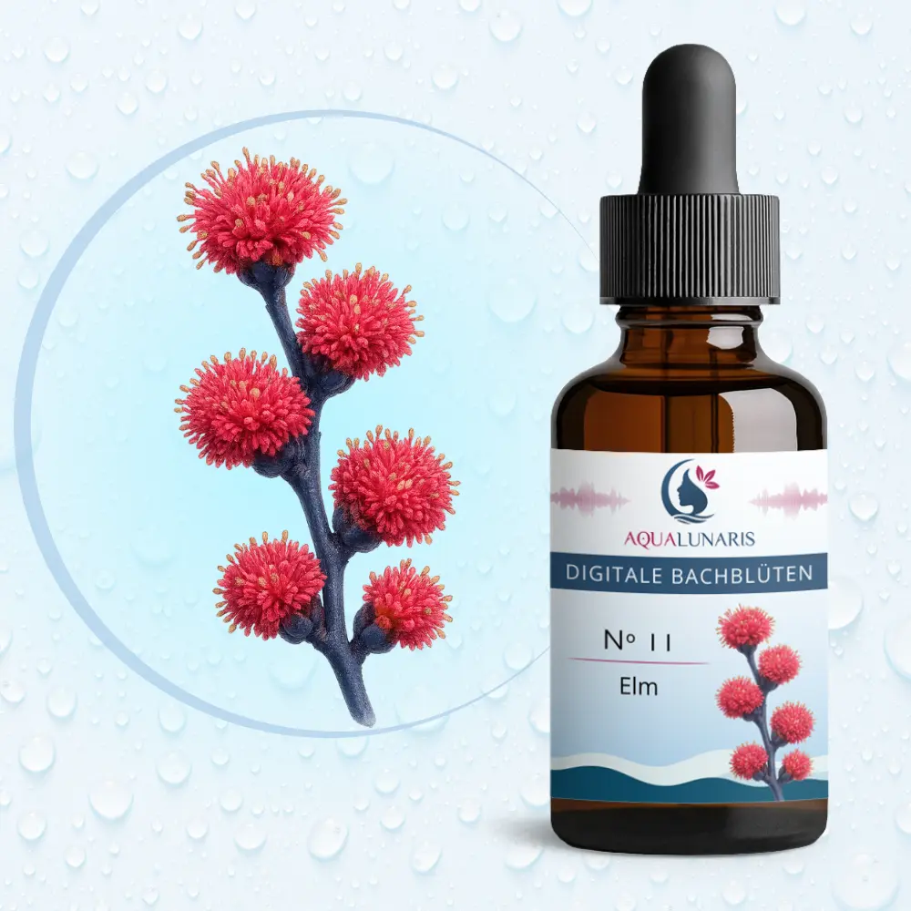 011 - Elm Bachbluete Produktbild