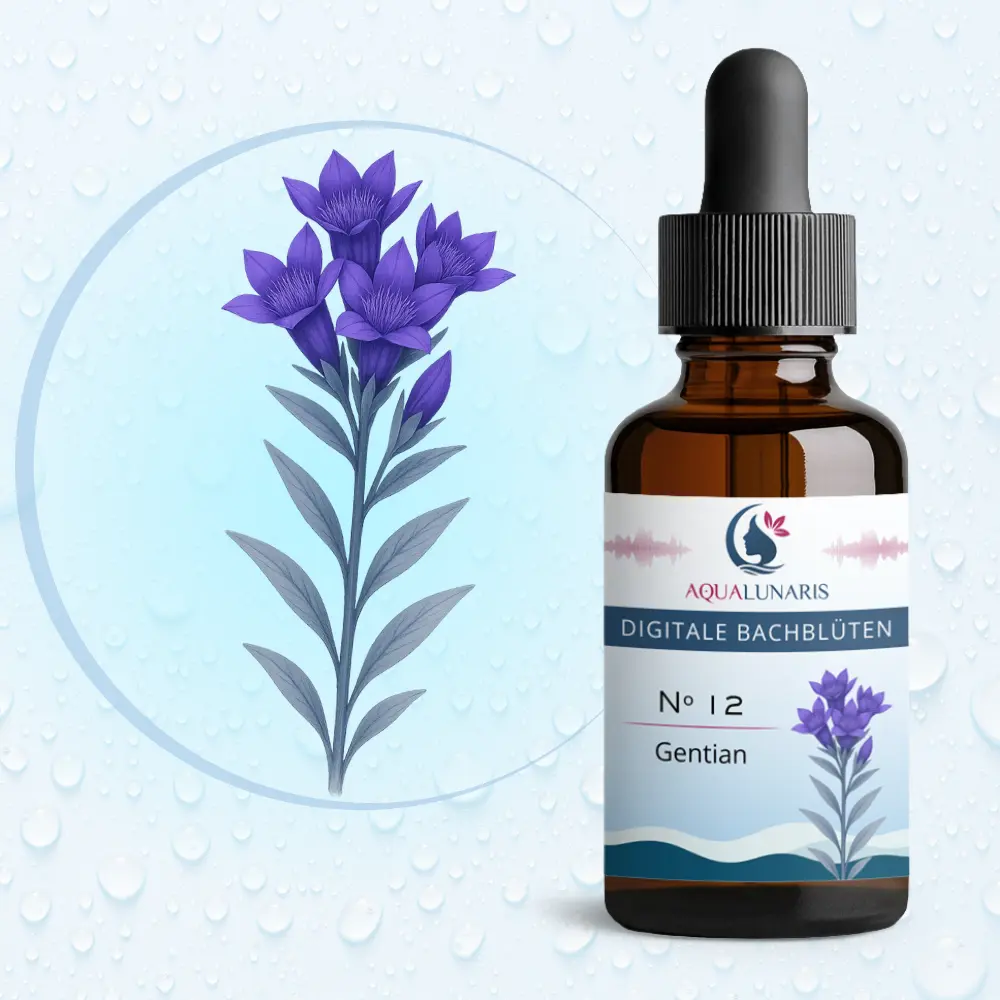012 - Gentian Bachbluete Produktbild