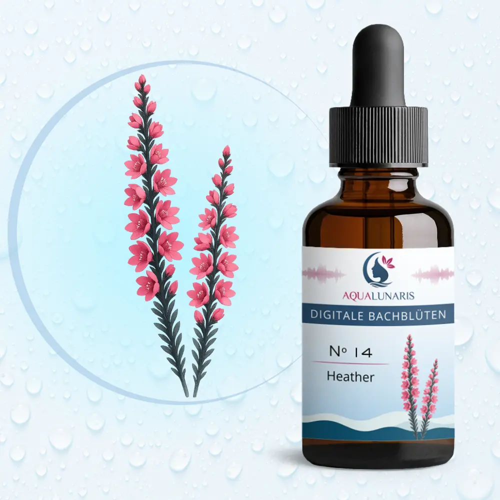 014 - Heather Bachbluete Produktbild