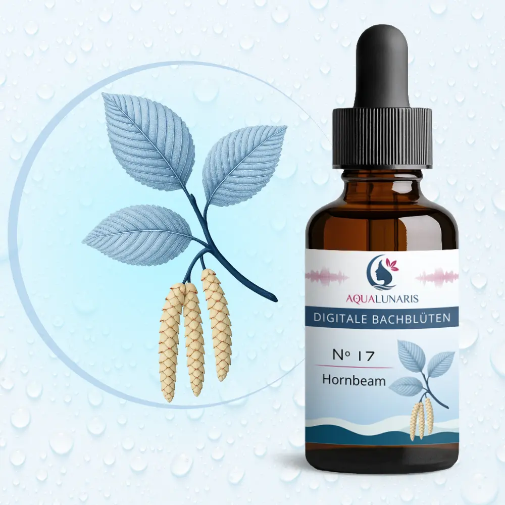 017 - Hornbeam Bachbluete Produktbild