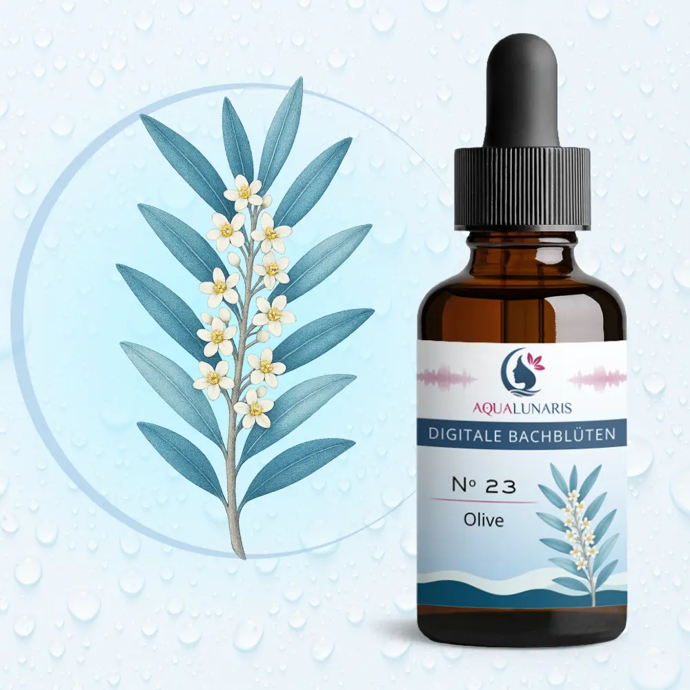 023 - Olive Bachbluete Produktbild