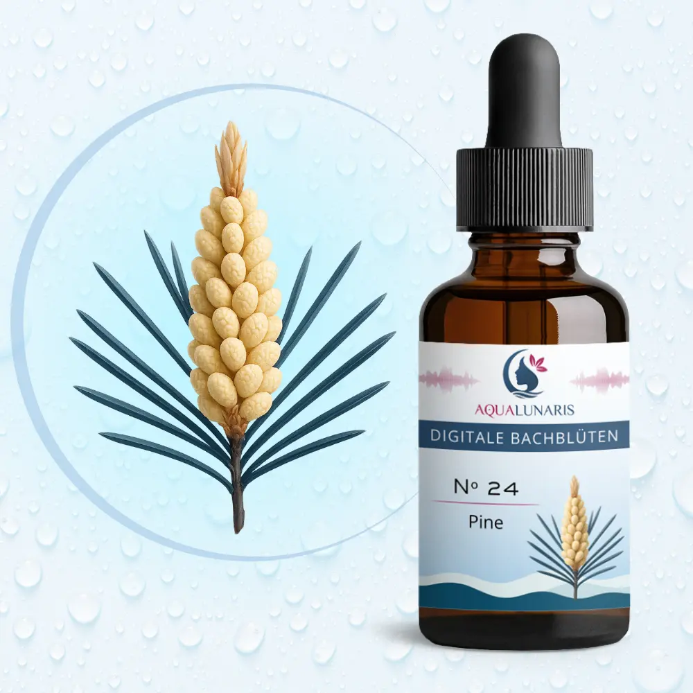 024 - Pine Bachbluete Produktbild