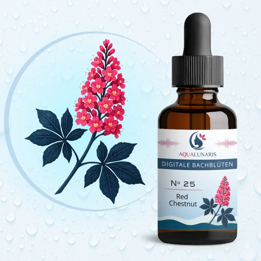 025 - Red Chestnut Bachbluete Produktbild