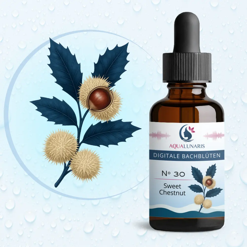 030 - Sweet Chestnut Bachbluete Produktbild