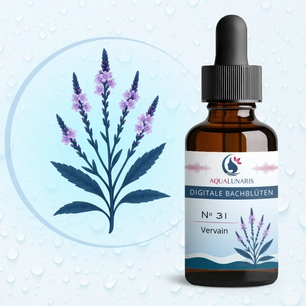 031 - Vervain Bachbluete Produktbild