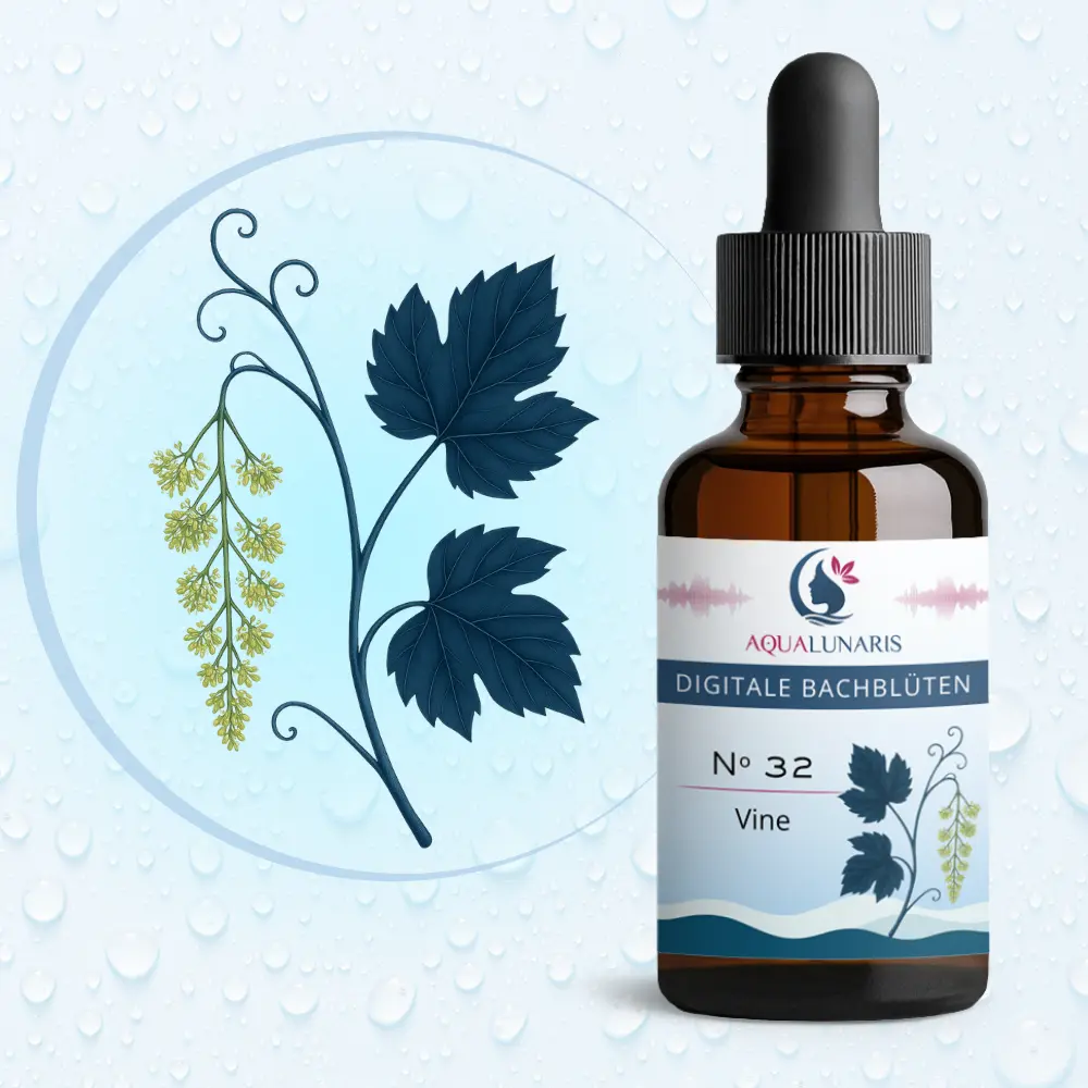 032 - Vine Bachbluete Produktbild