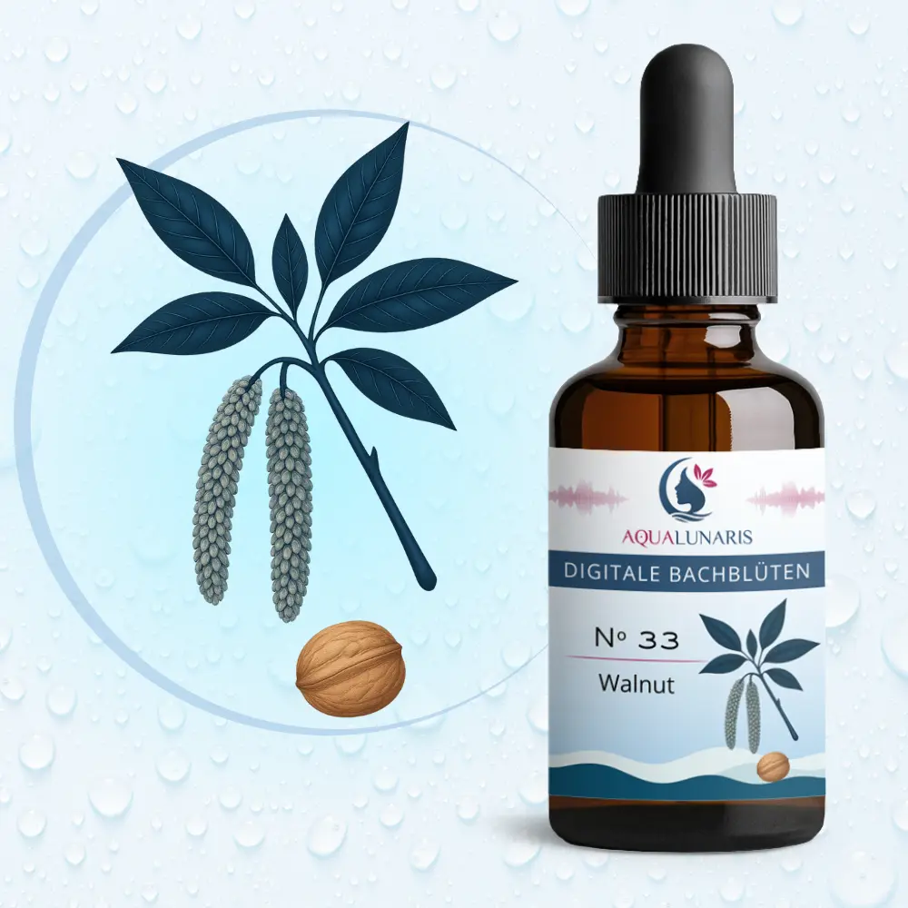 033 - Walnut Bachbluete Produktbild