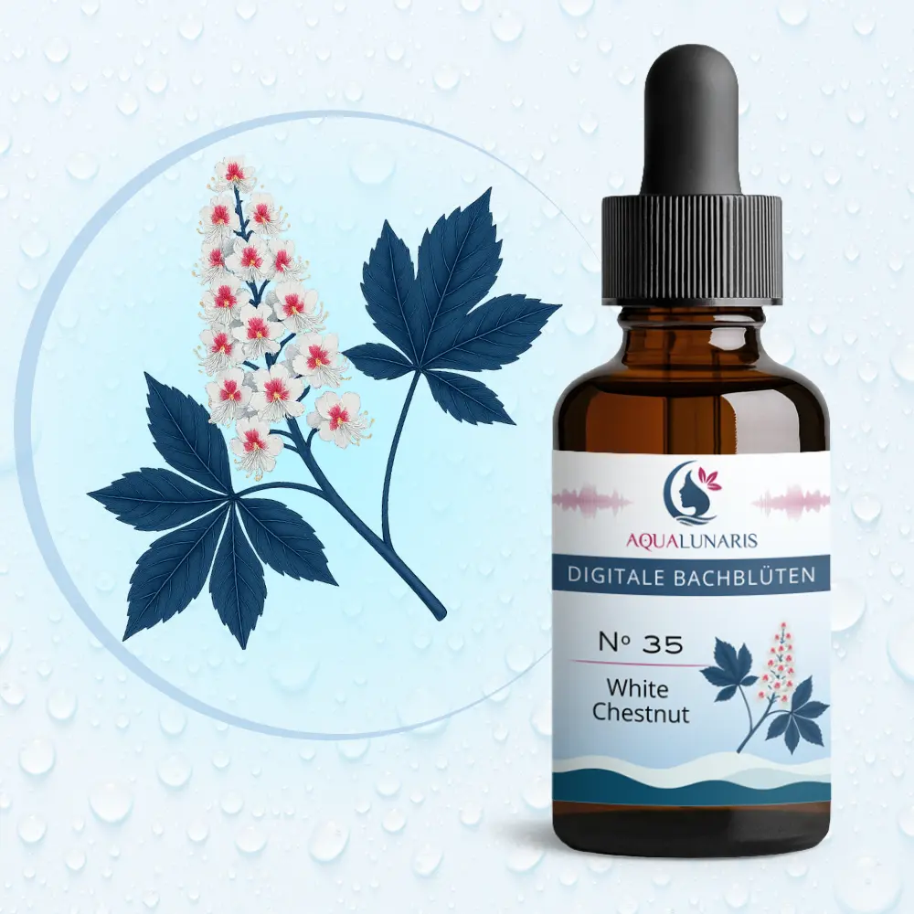 035 - White Chestnut Bachbluete Produktbild