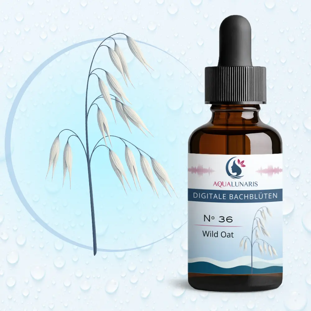 036 - Wild Oat Bachbluete Produktbild