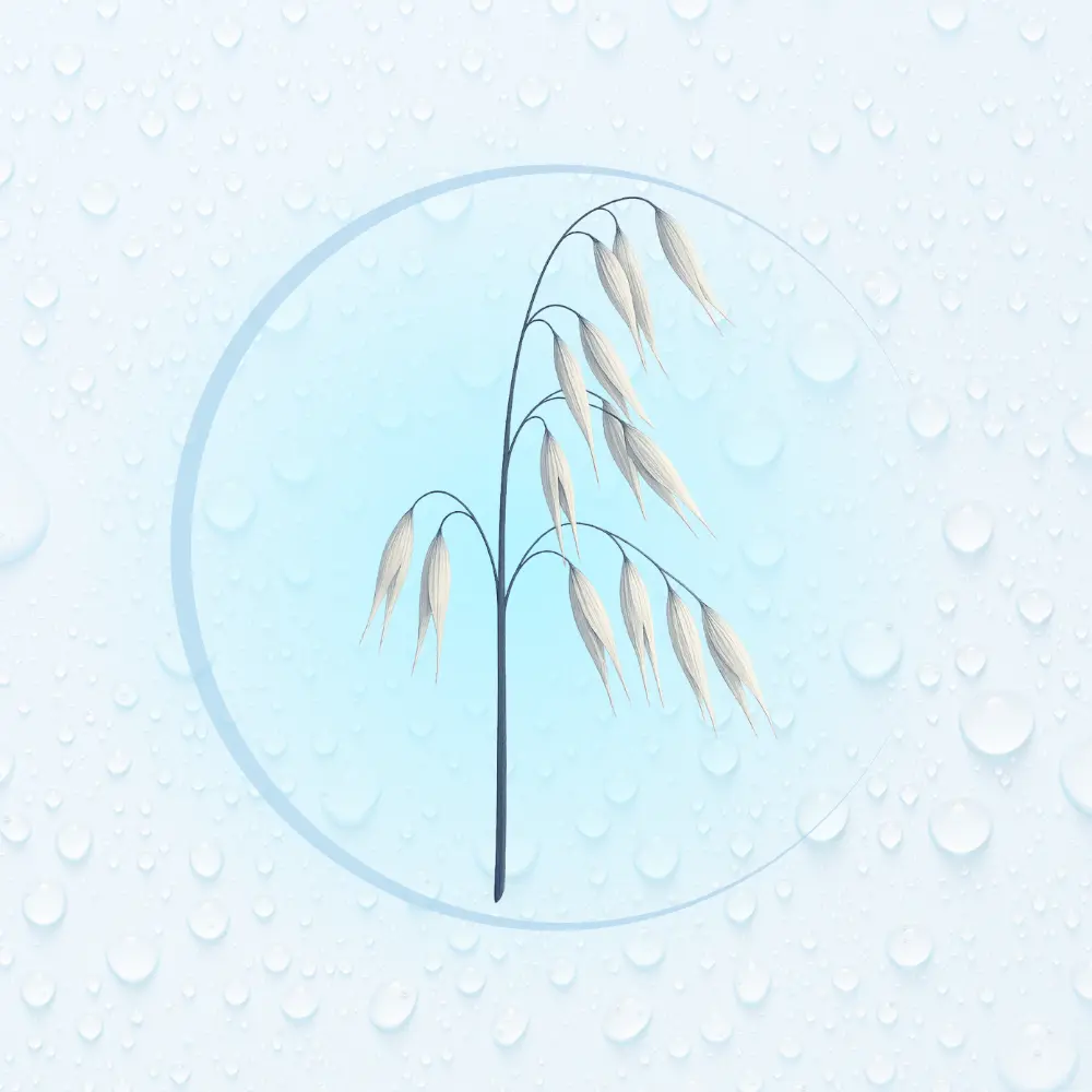 Bachblüte Nr. 36: Wild Oat (Illustration)