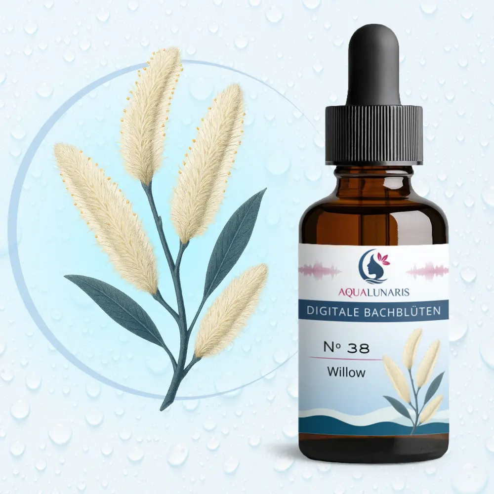 038 - Willow Bachbluete Produktbild