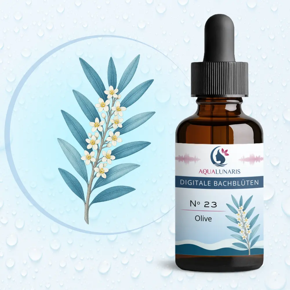 Digitale Bachblüte N° 23 – Olive – Produktbild