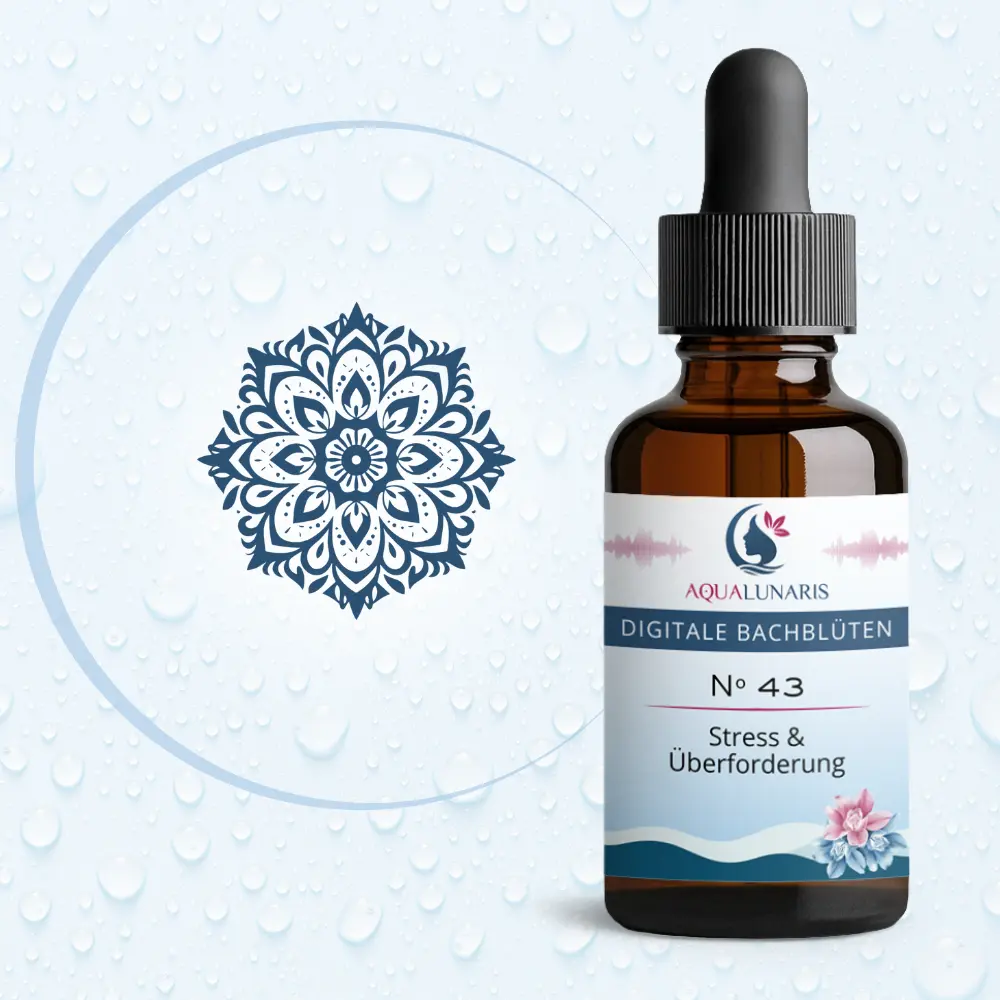 043 - Stress und Ueberforderung