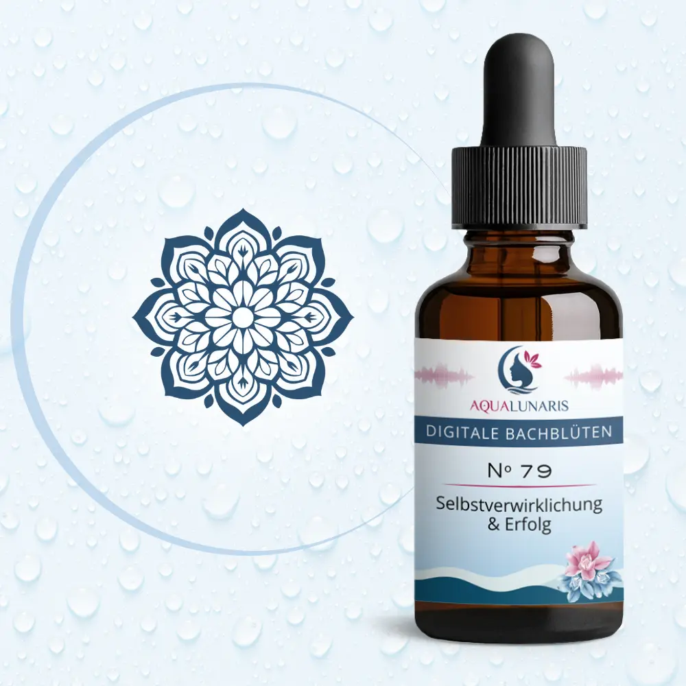 079 - Selbstverwirklichung und Erfolg