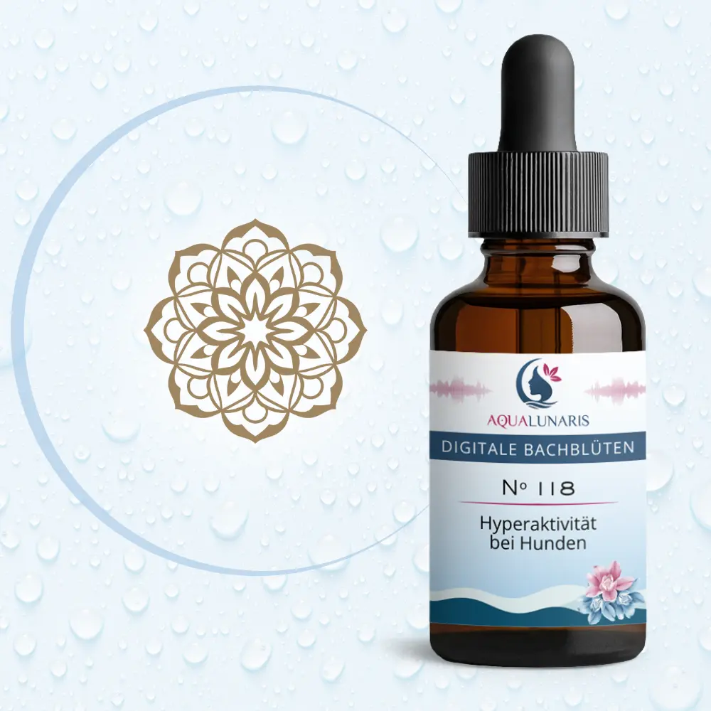 118 - Hyperaktivitaet bei Hunden