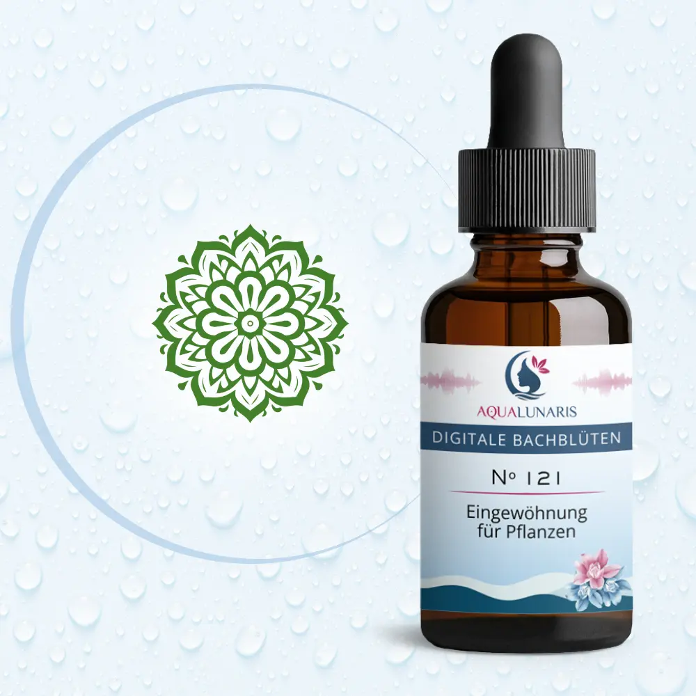 121 - Eingewöhnung für Pflanzen