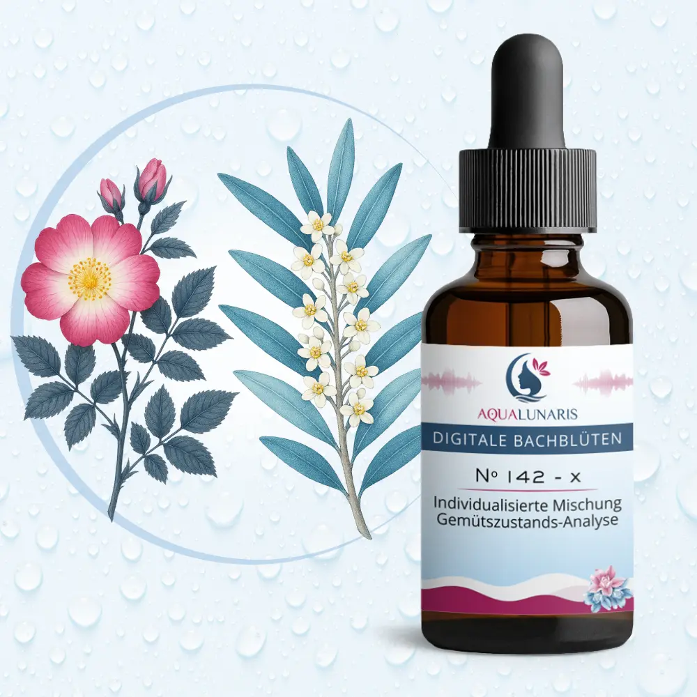 Individualisierte Mischung Gemütszustands-Analyse