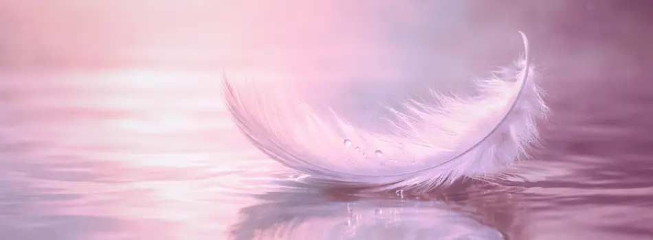 Feder schwimmt auf sanfter Wasseroberfläche